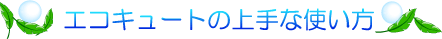 ecoq001.gif(5285 byte)